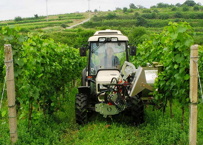 pratica-di-un-agricoltura-biologica pratica-di-un-agricoltura-biologica